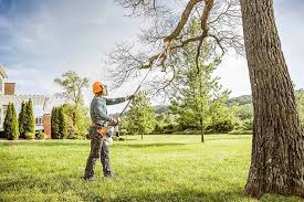 How Our Tree Care Process Works  in  Lucedale, MS